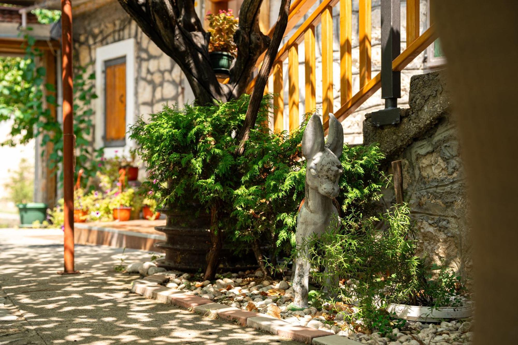 Old House Kontic Appartement Nikšić Buitenkant foto